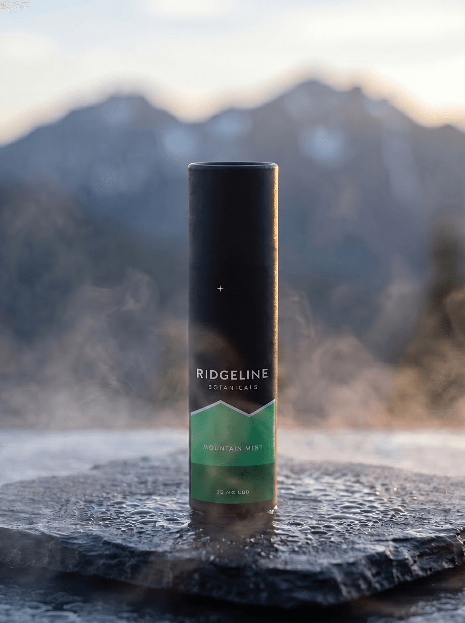 Mountain Mint tube at first light on wet slate, mountains behind