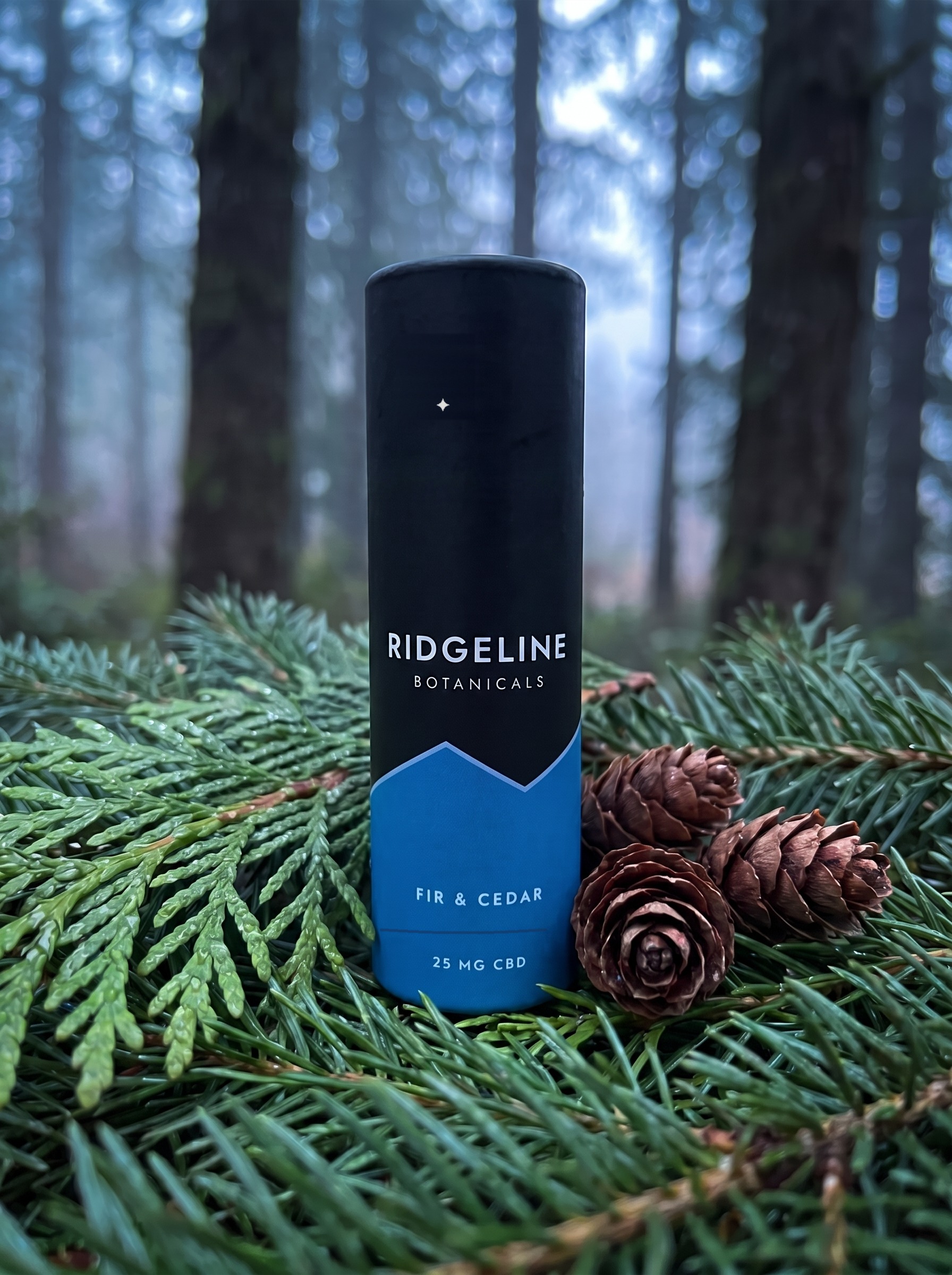 Fir & Cedar tube nested in fir boughs with cones, misty forest behind